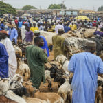 Jobs – Fisheries Analyst