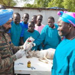 Le pastoralisme au Sahel : Une réponse collective face au défi climatique