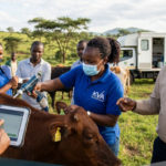 World Veterinary Day: AfricaVET Celebrates the Voices and Impact of Veterinary Professionals in Africa