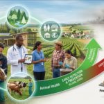 Sénégal : à Dakar, Afrique One-REACH forme ses boursiers pour renforcer l’approche « Une seule santé »