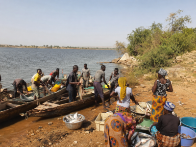 Burkina Faso : à Ziga, plus de 56 tonnes de poissons capturées dans un contexte de défis économiques, alimentaires et sécuritaires