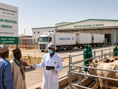 Cameroun : un abattoir industriel à Maroua pour moderniser la filière bétail-viande