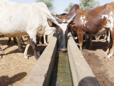 A New Pastoral Well in Batha to Secure Herders’ Access to Water in Abou-Agarib