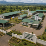 Cameroun : 5,68 milliards FCFA pour trois fermes porcines à Kouden, Bali et Kaélé
