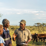 Jobs – Technical Advisor, Animal Health & One Health Systems – Pandemic Prevention Preparedness and Response Programme, South Africa