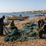 Sénégal : à Dakar, Afrique One-REACH forme ses boursiers pour renforcer l’approche « Une seule santé »