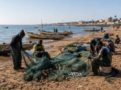 West Africa Advances Inclusive Fisheries Governance with Establishment of Small-Scale Fisheries Technical Working Group