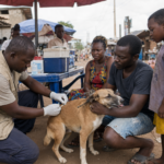 Africa Forward Summit 2026: Investing in animal resources to sustainably transform Africa