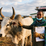 Africa Forward Summit 2026: Investing in animal resources to sustainably transform Africa