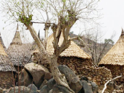 Cameroon: The government assures about the success of the cencus in crisis-hit areas