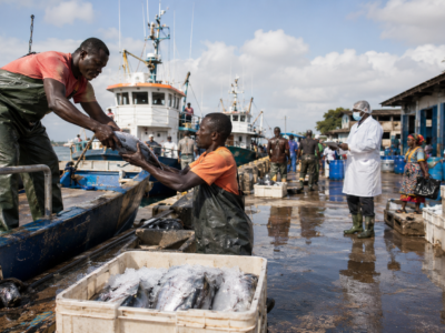 Cameroun : plus de 7 milliards FCFA pour deux bateaux de pêche et la modernisation du débarcadère de Youpwe
