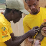 PPR: Eastern Africa and the Great Lakes Region Step Up Cross-Border Action to Stop the Disease