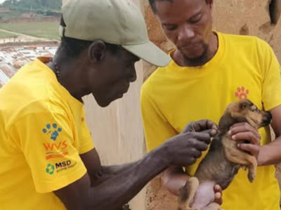 Blantyre se mobilise pour vaccinez contre la rage
