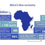 Avian Influenza Resurges: Africa Faces Crisis Amid Global H5N1 Spread