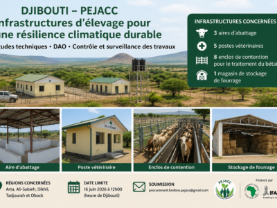 AMI – Djibouti – Recrutement d’un Consultant (Firme) pour la mission des Etudes et contrôle des travaux d’infrastructures d’élevage – PEJACC