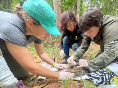 Call : Cornell University Opens Applications for the K. Lisa Yang Wildlife Health Fellows Program 2026–2027