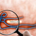 Jobs : Scientific Coordinator Science-Policy Interface – Science and Disease Management Department – WOAH HQ – Paris, France