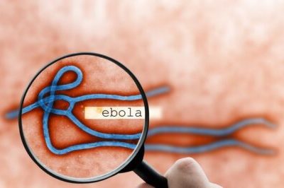 WOAH Statement on the Ebola Virus Disease Outbreak in the Democratic Republic of the Congo and Uganda