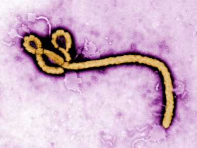 RDC : un mois après la déclaration de l’épidémie d’Ebola, MSF alerte sur des failles critiques dans la riposte
