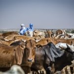 Économie bleue en lumière : La souveraineté africaine face à la transparence maritime
