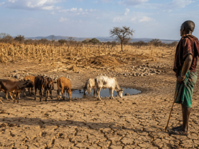 El Niño : la FAO alerte sur les zones agricoles et pastorales les plus exposées à la sécheresse