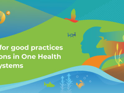 FAO Call for Applications: One Health Innovations in Agrifood Systems