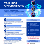 Jobs : WVI Wildlife Health Bursaries 2026