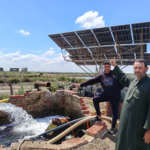 Jobs – UNOPS : Expert en Agriculture