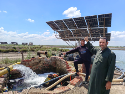Égypte : l’énergie solaire aide les pisciculteurs et les vendeuses de poisson à réduire leurs coûts et leurs pertes